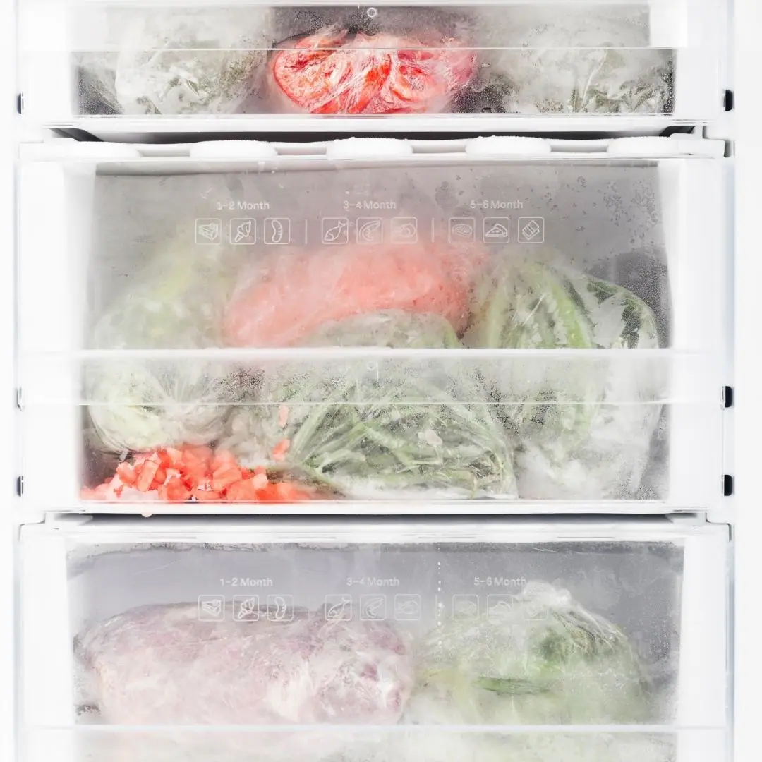 Alimentos Congelados