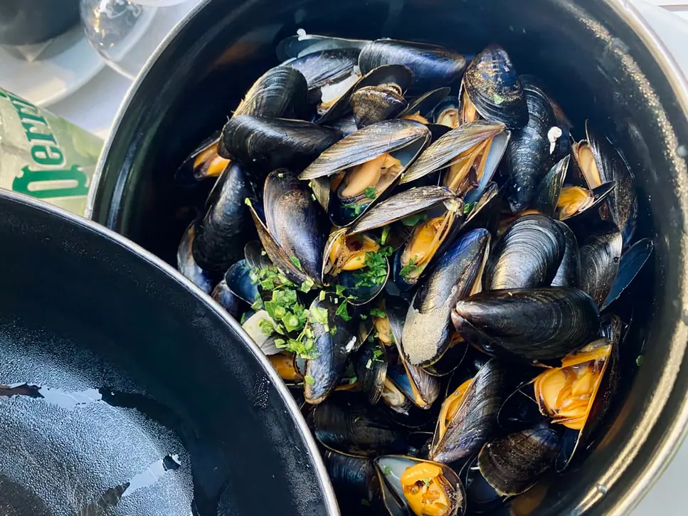 Mejillones: el alimento que tiene todo (o casi todo) lo que nuestra salud necesita