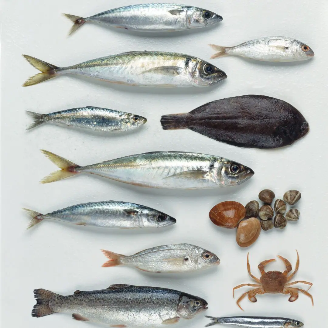 Pescados ricos en potasio