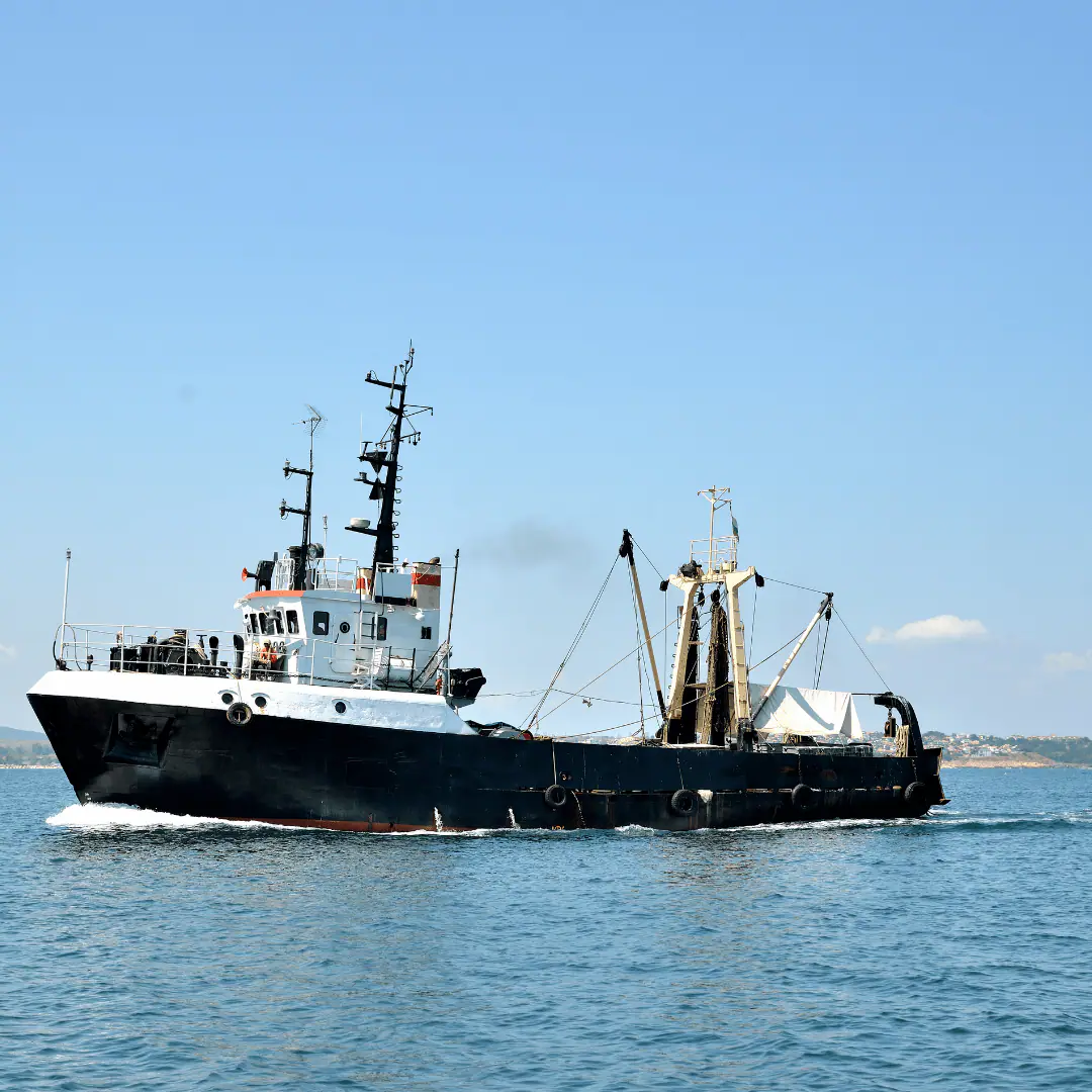 Buques arrastreros con congelado a bordo.